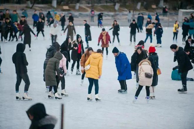 京多所高校专业冰场对外开放qy千亿球友会冰雪头条：北(图6)